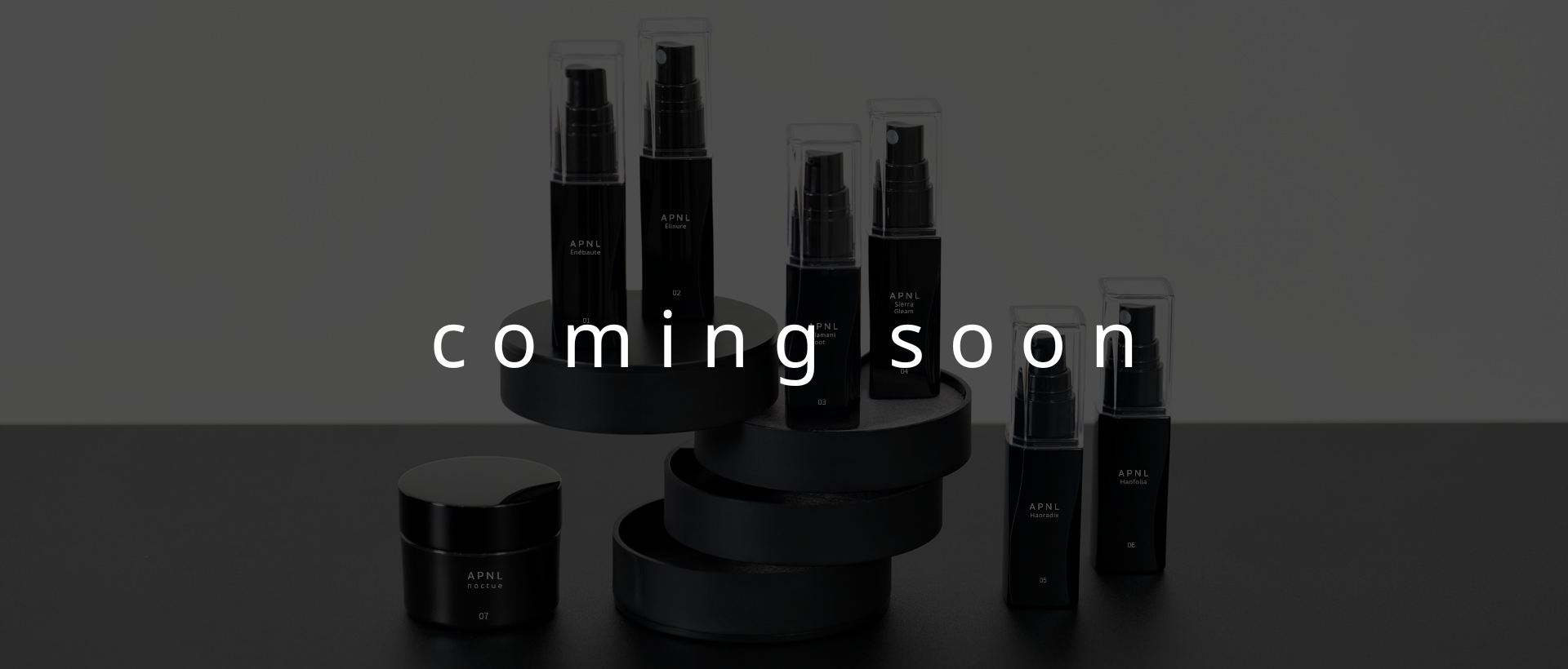 APNL ヘッダー画像