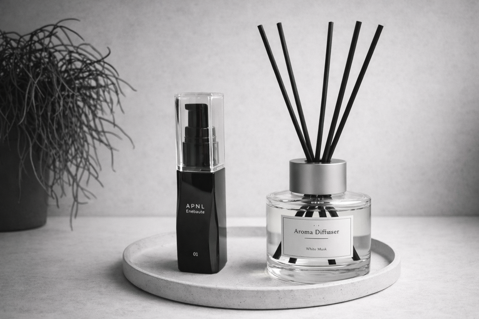 観葉植物のリプサリスとスティックディフューザーと並べて飾られた、インテリアに馴染む美しいボトルの液体肥料EneBaute（エナボーテ）