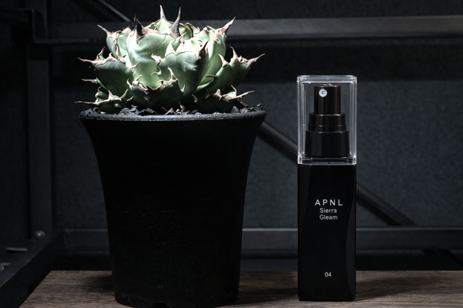 シエラグリームとアガベ チタノタ 姫竜牙が並んで飾ってある画像