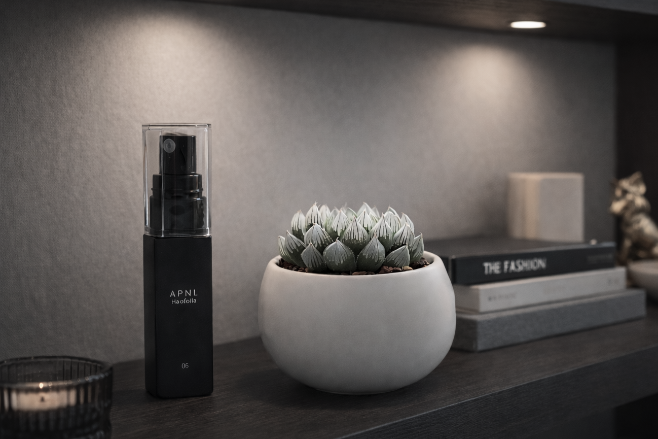 ハオフォリアとハオルチアブラックオブツーサが棚に飾られているイメージ