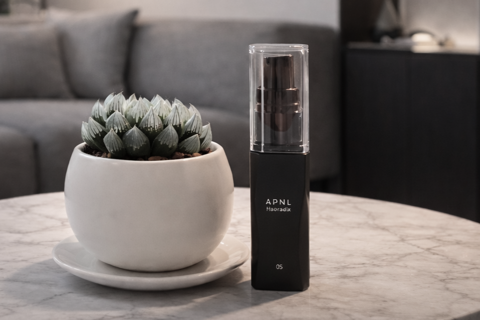 ハオルチア ブラックオブツーサとハオラディクスがインテリアとして馴染んでいる情景